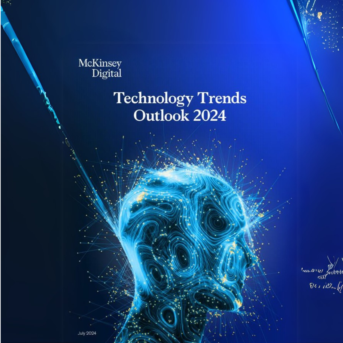 McKinsey Digital rapport