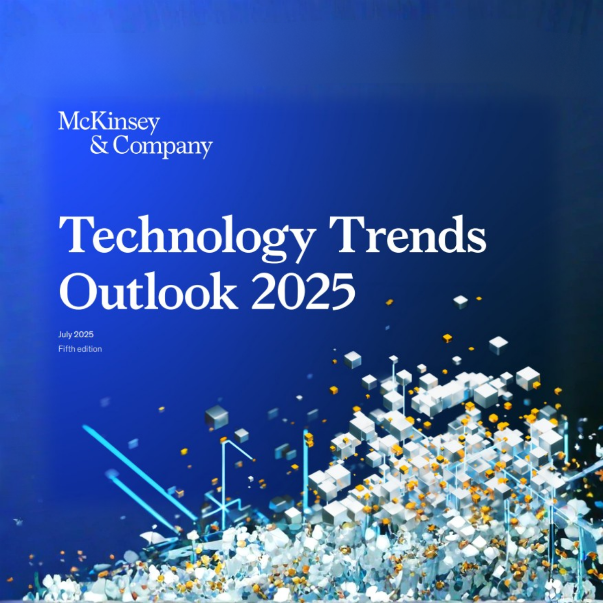 McKinsey & Company tech rapport